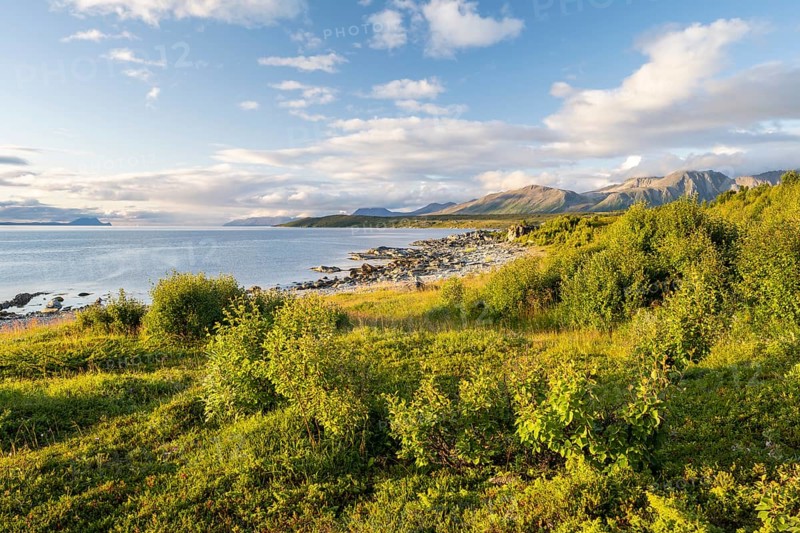 Coast near Lattervik