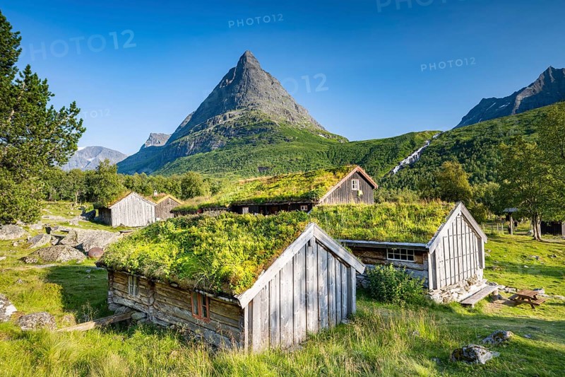 Traditional houses