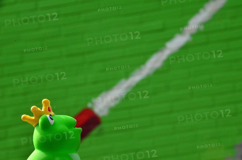 Rubber frog with crown and water jet