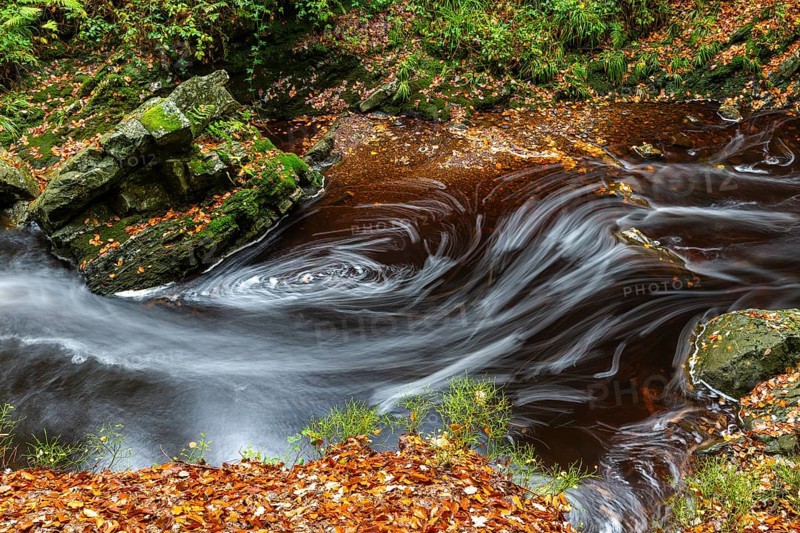 Mountain stream La Hoegne
