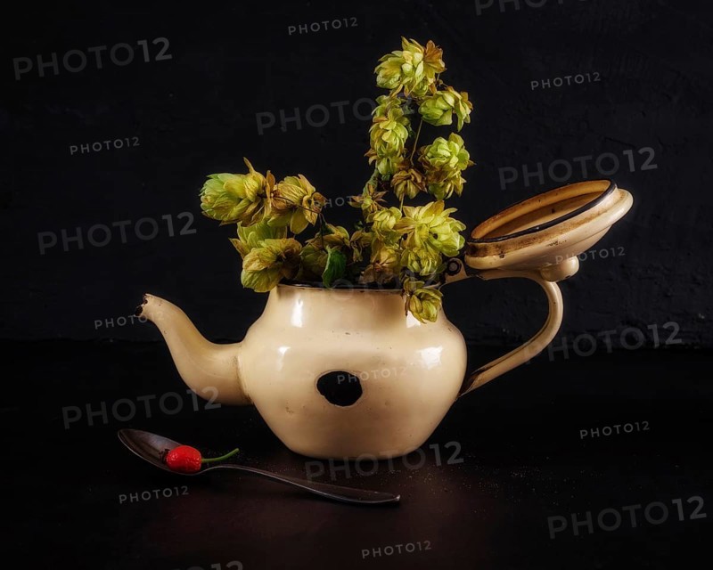 Still Life with Old Teapot