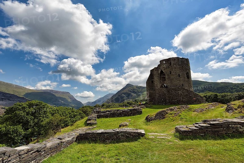 Ruins of a Medieval Castle