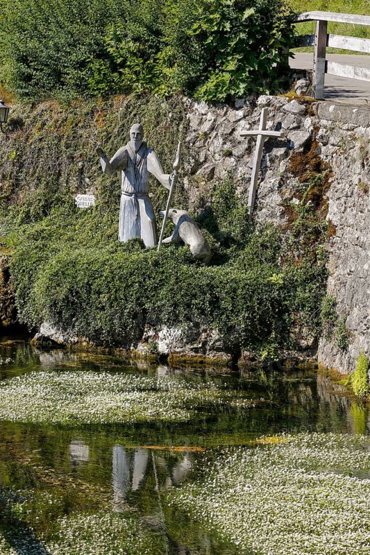 Gallus spring