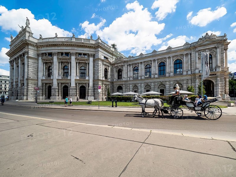 Fiaker in front of the Burgtheater