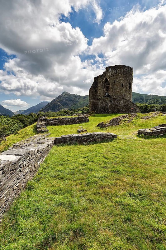 Ruins of a Medieval Castle