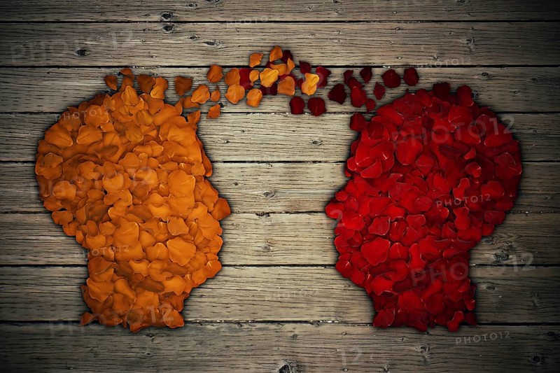Red and yellow rose petals arranged in shape of human head generate thinking exchange and idea partnership business