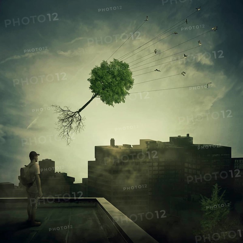 Surreal view as a boy stand on the rooftop looking at a flock of birds carrying a tree pulled from roots