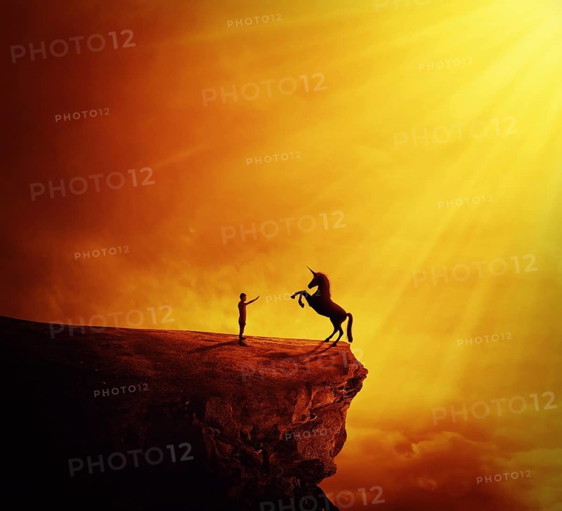 Idyllic view with a boy standing at the edge of a cliff chasm trying to tame a wild unicorn
