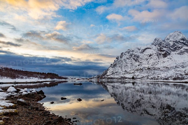 Winter panorama