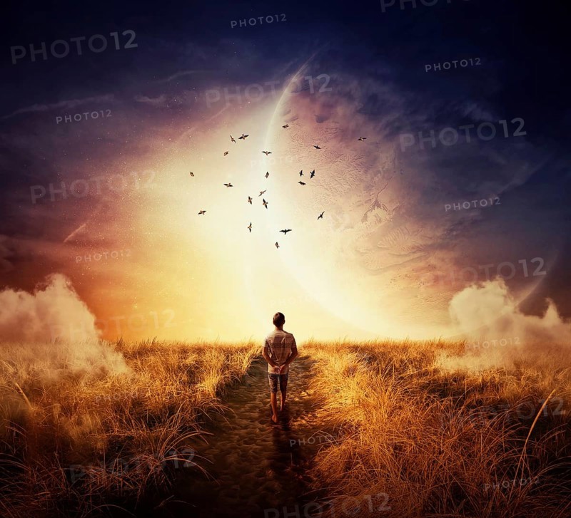 Boy walking relaxed on a path and sees birds on bright horizon