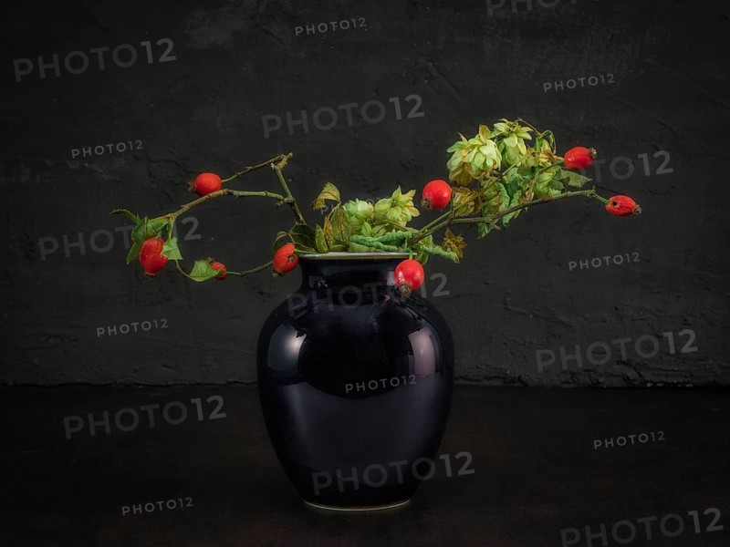 Still Life with Hop Cone and Rose Hips in a Vase