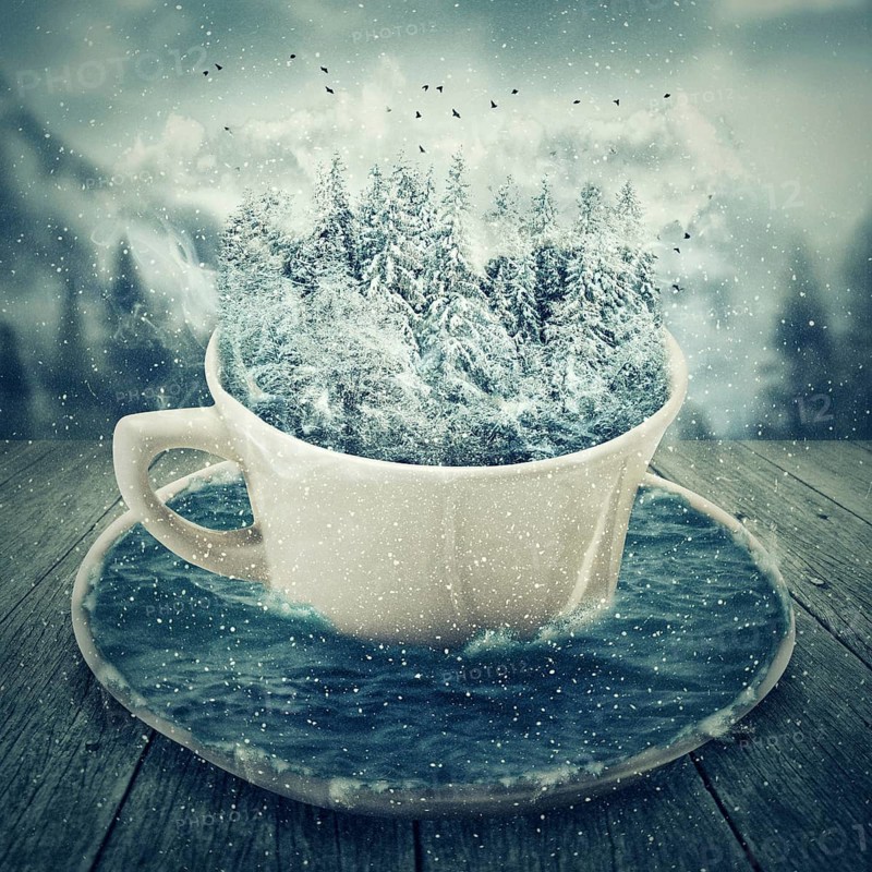 Magic cup in a cold winter day with snowy forest and mounts inside