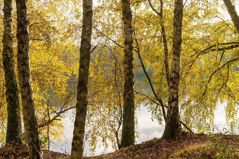 Autumn atmosphere at Lake Linden