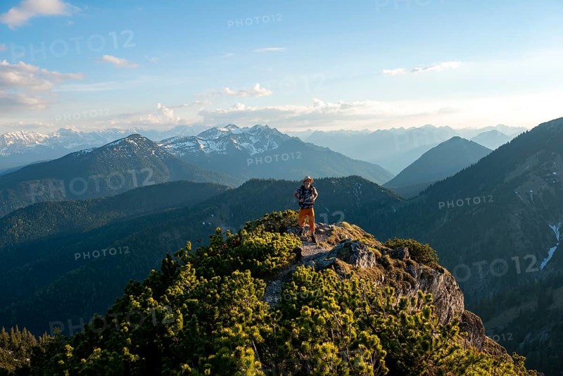 Hiker on hiking trail with mountain pines