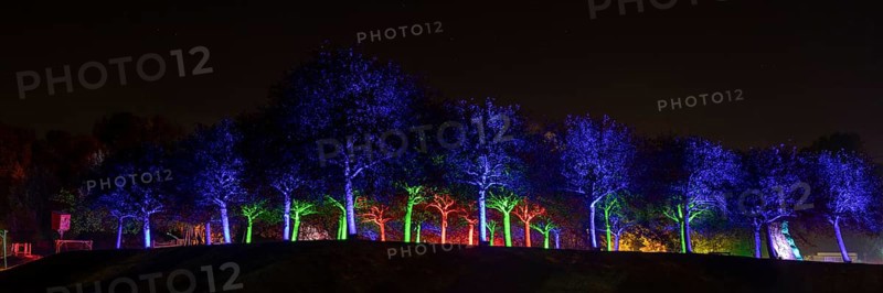 Autumn Lights in the Bridgehead Park