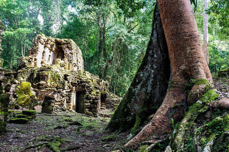 Archeological Maya site Yaxchilan in the jungle of Chiapas