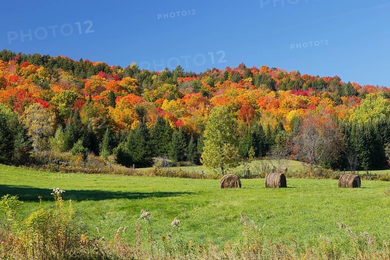 Autumn landscape in the Red River Region