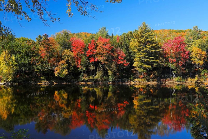Red River in Autumn