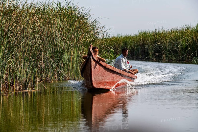 Local boat