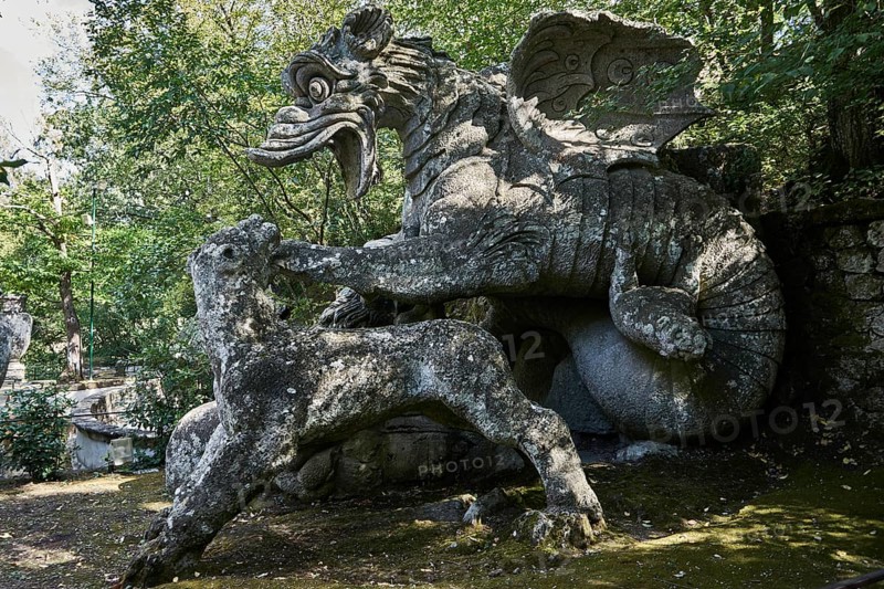 Dragon fighting with lion