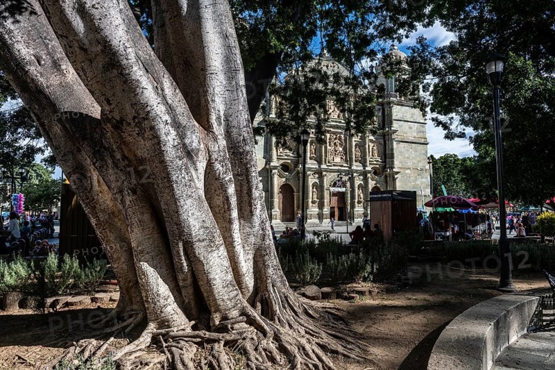 Church of Santo Domingo de Guzman