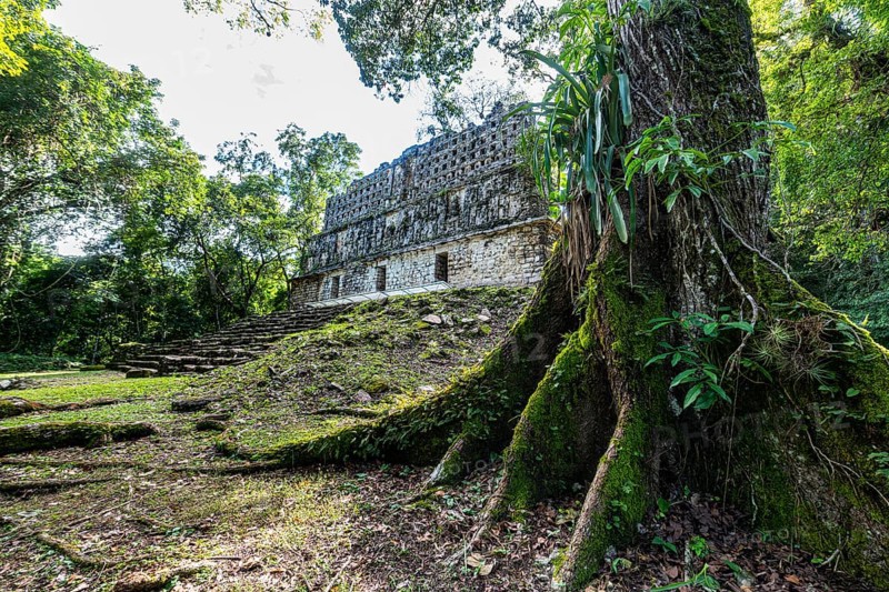 Archeological Maya site Yaxchilan in the jungle of Chiapas