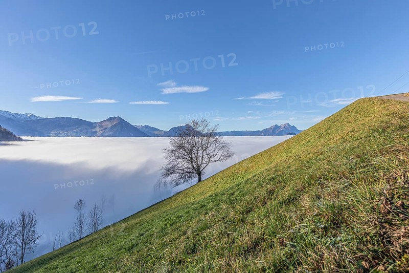 Sea of fog over the Vitznau region