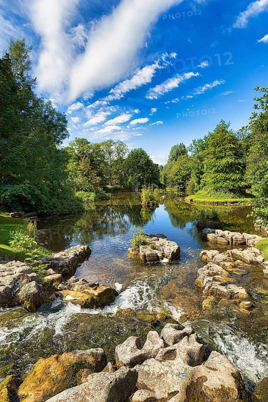 Pond with rocks in St Fiachras Garden