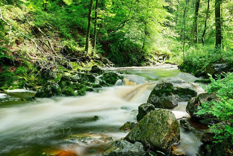Stream course of the Hoegne