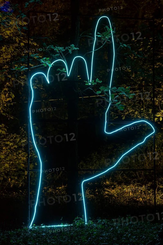 Autumn Lights in the Bridgehead Park