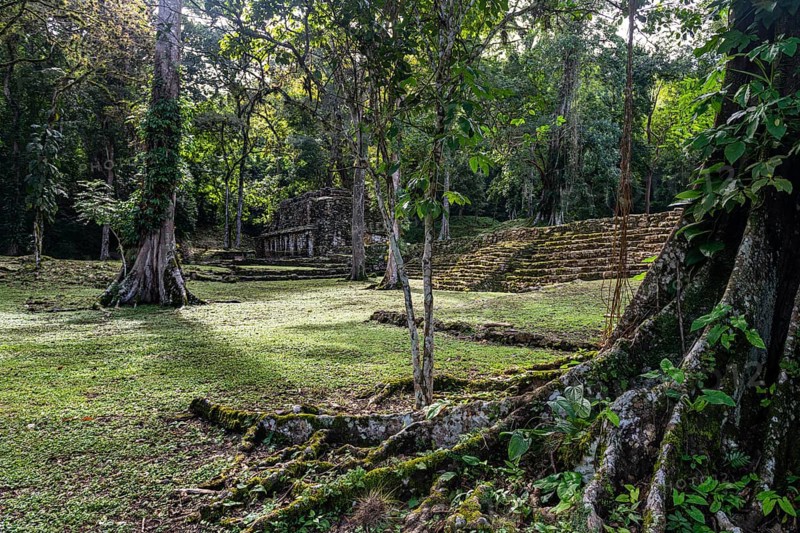 Archeological Maya site Yaxchilan in the jungle of Chiapas