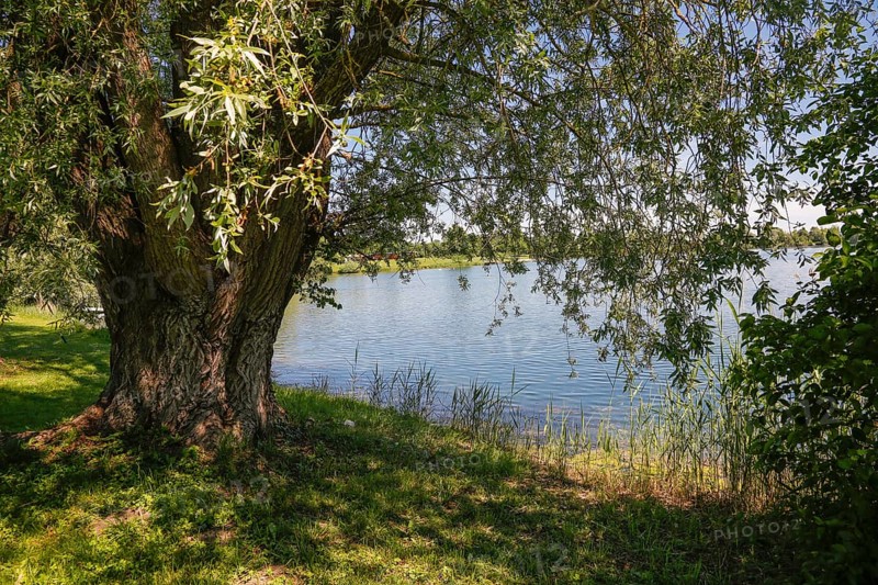 Ludwigsfelder See