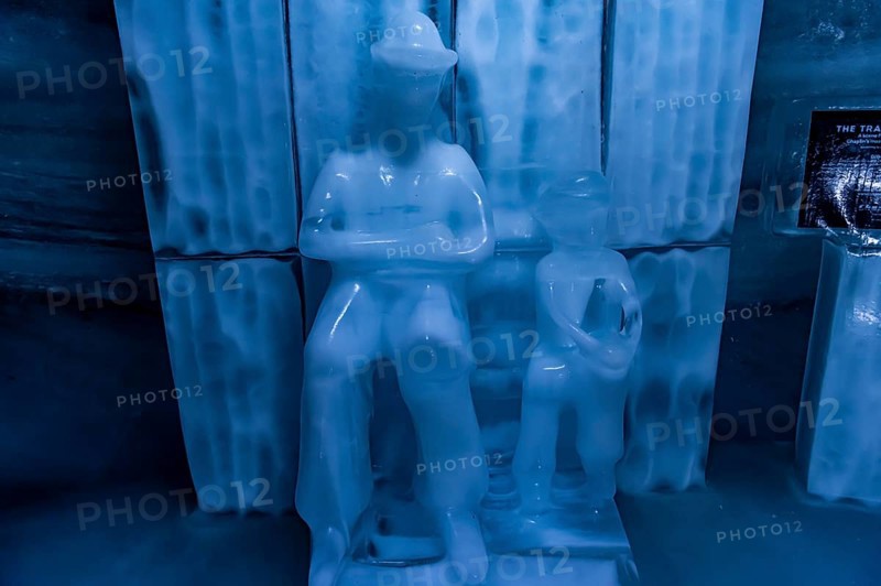 Phantasy sculptures in the Glacierworld