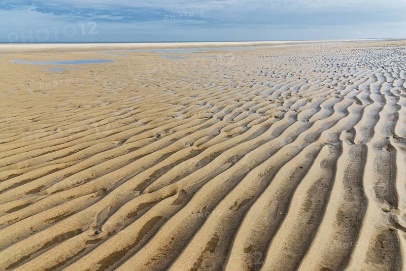 Beach at low tide