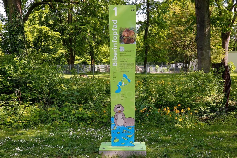 Beaver Trail