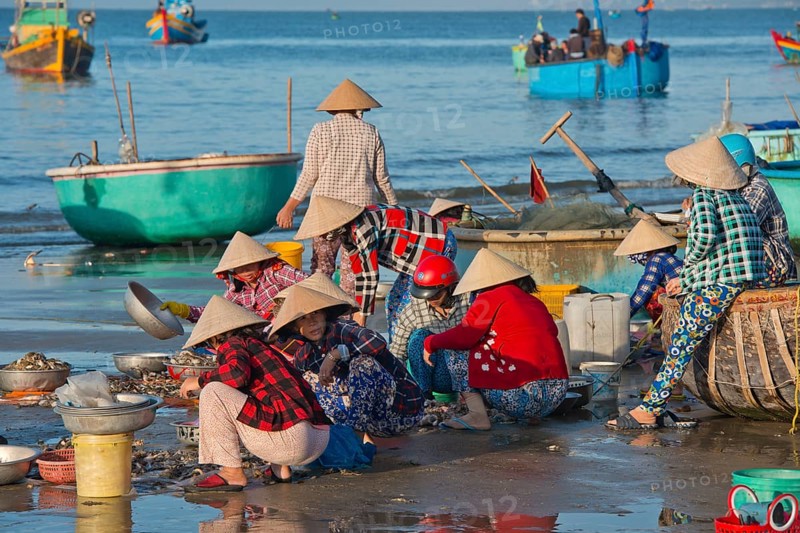 Women with straw hats on the beach with freshly caught fish and seafood