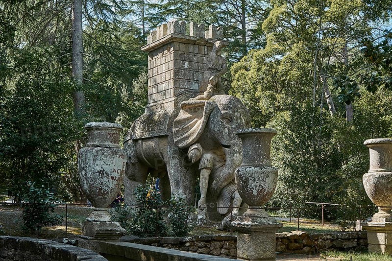 Elephant fighting with soldier