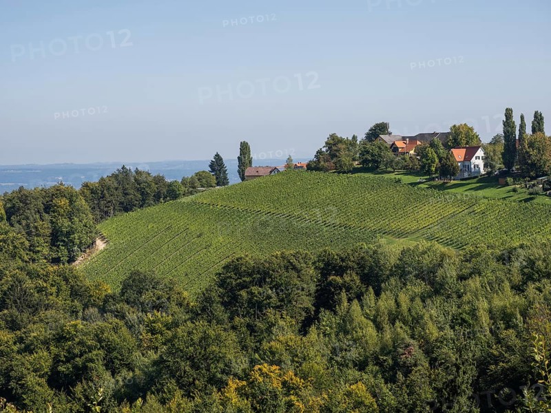 Hilly landscape with vineyards near Kitzeck im Sausal