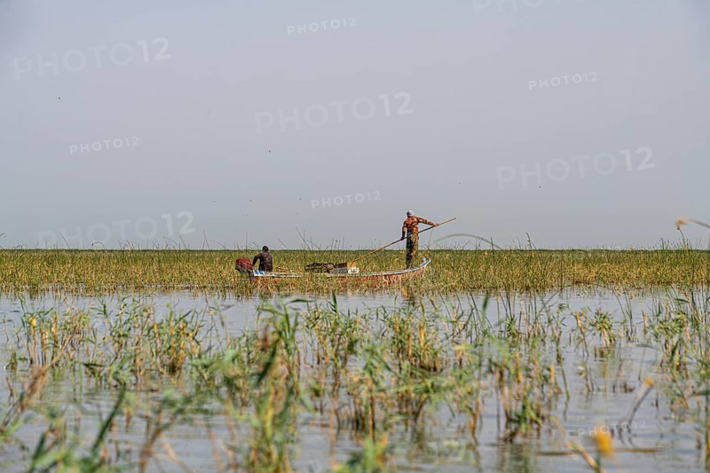 Little boat in the Mesopotamian Marshes