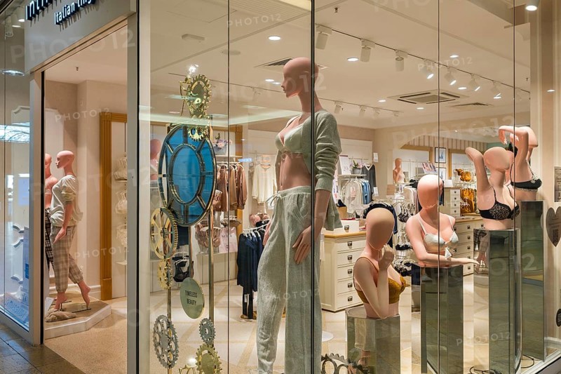 Fashion dolls in lingerie
