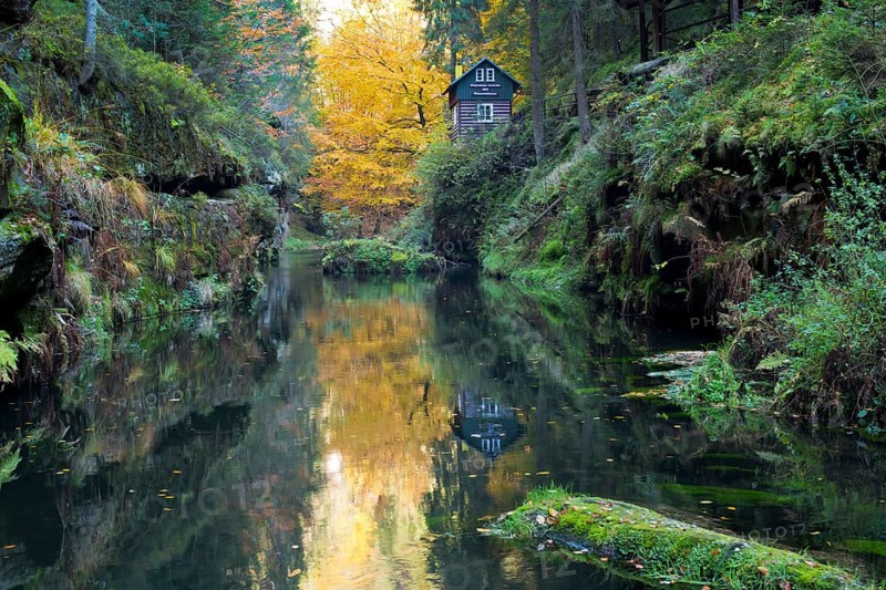 Autumn in the Edmundsklamm gorge with the river Kamenice
