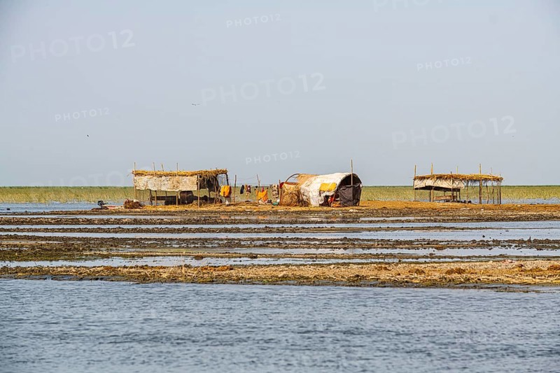 Reed house of Marsh Arabs