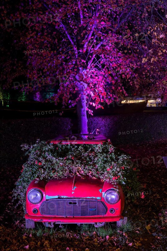 Autumn Lights in the Bridgehead Park