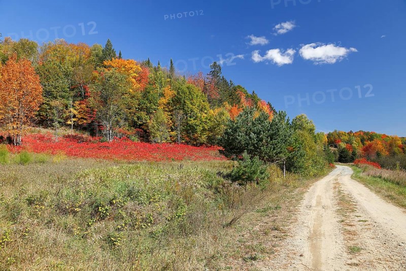 Autumn landscape in the Red River Region