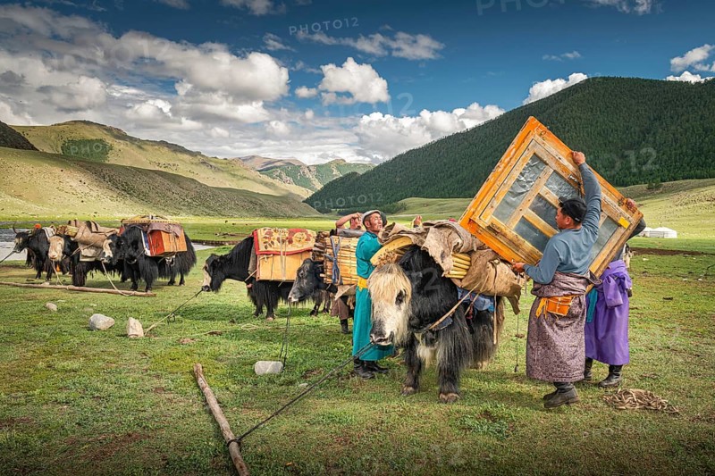 The nomadic family moves with yaks in the summer. Bayanhongor Province
