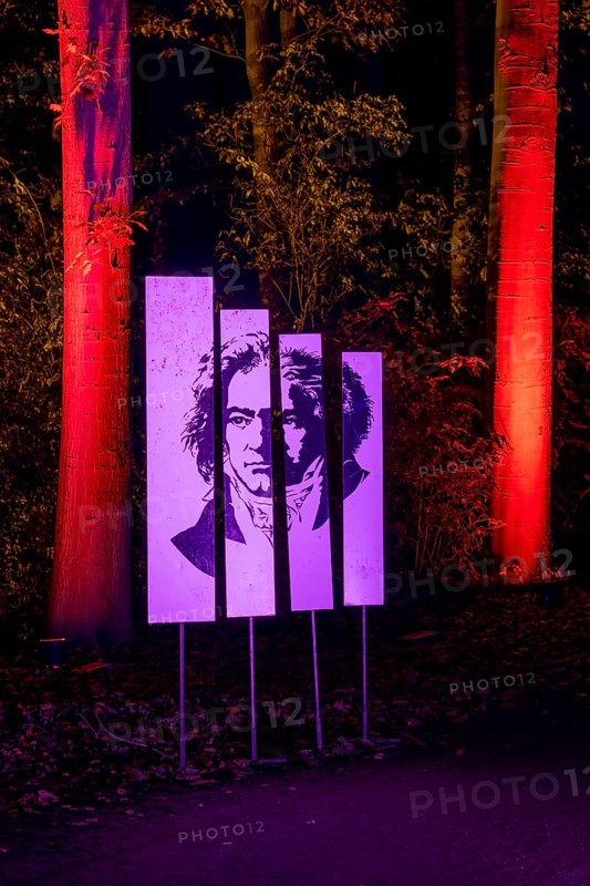 Autumn Lights in the Bridgehead Park