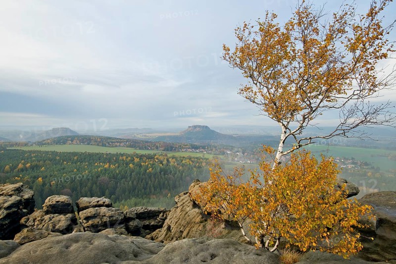 Autumn landscape