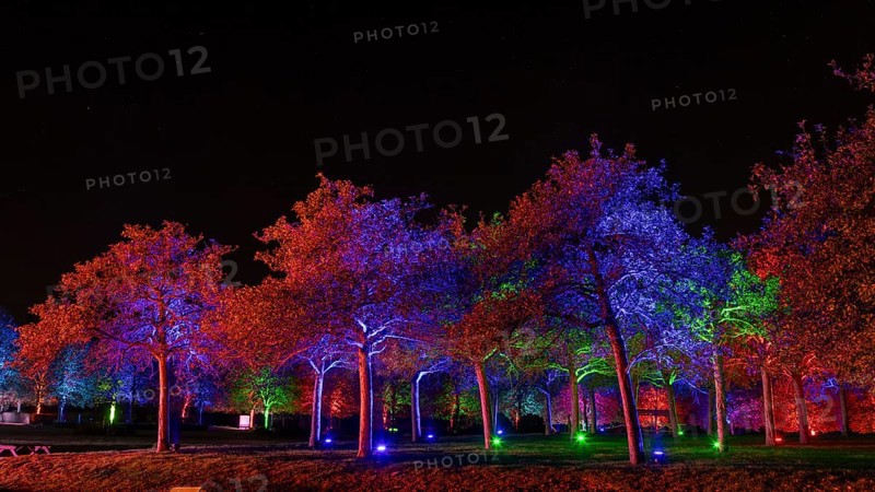 Autumn Lights in the Bridgehead Park