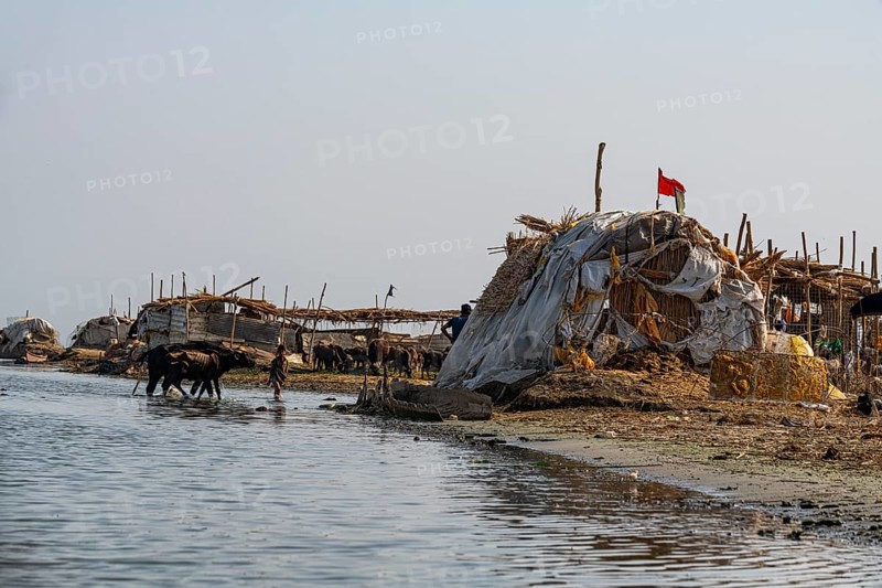 Reed house of Marsh Arabs