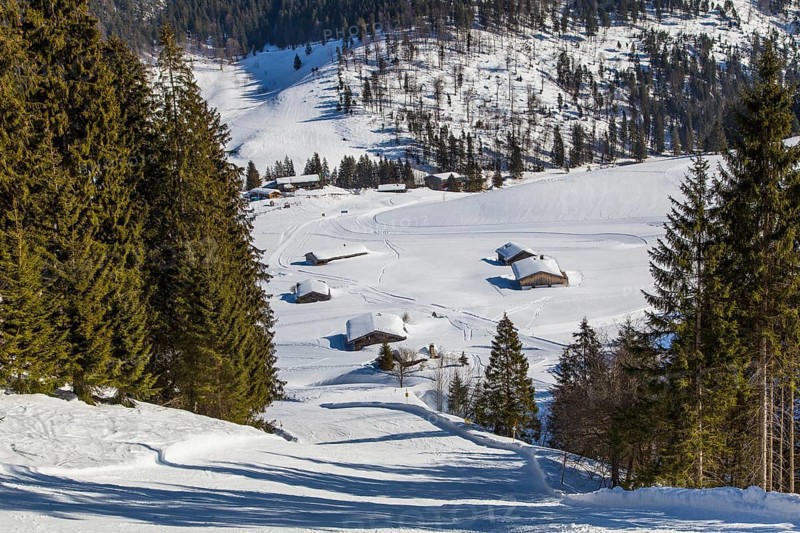 Finish slope of the Gruensee downhill run